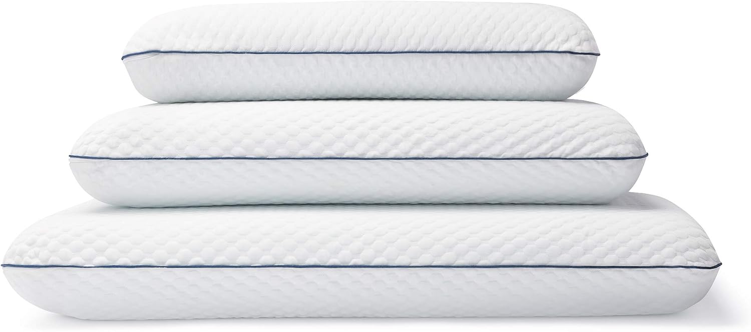 WEEKENDER WKQQ30GF Memory Foam Pillow, Queen, Blue: Home & Kitchen