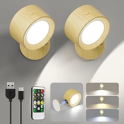 Lightbiz LED Wall Sconces, Wall Mounted Lamp 2 Pcs