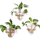 Wall Hanging Planter Propagation Station for Indoor Plants Glass Vase Air Plant Holder for Bathroom Living Room