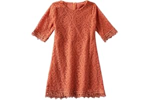 Niyage Lace Toddler Dress Girls Flower Elegant Half Sleeve Party Princess Dresses