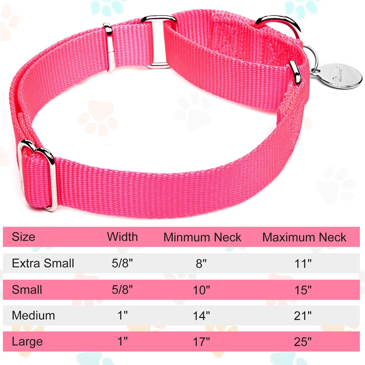 dazzber martingale collar