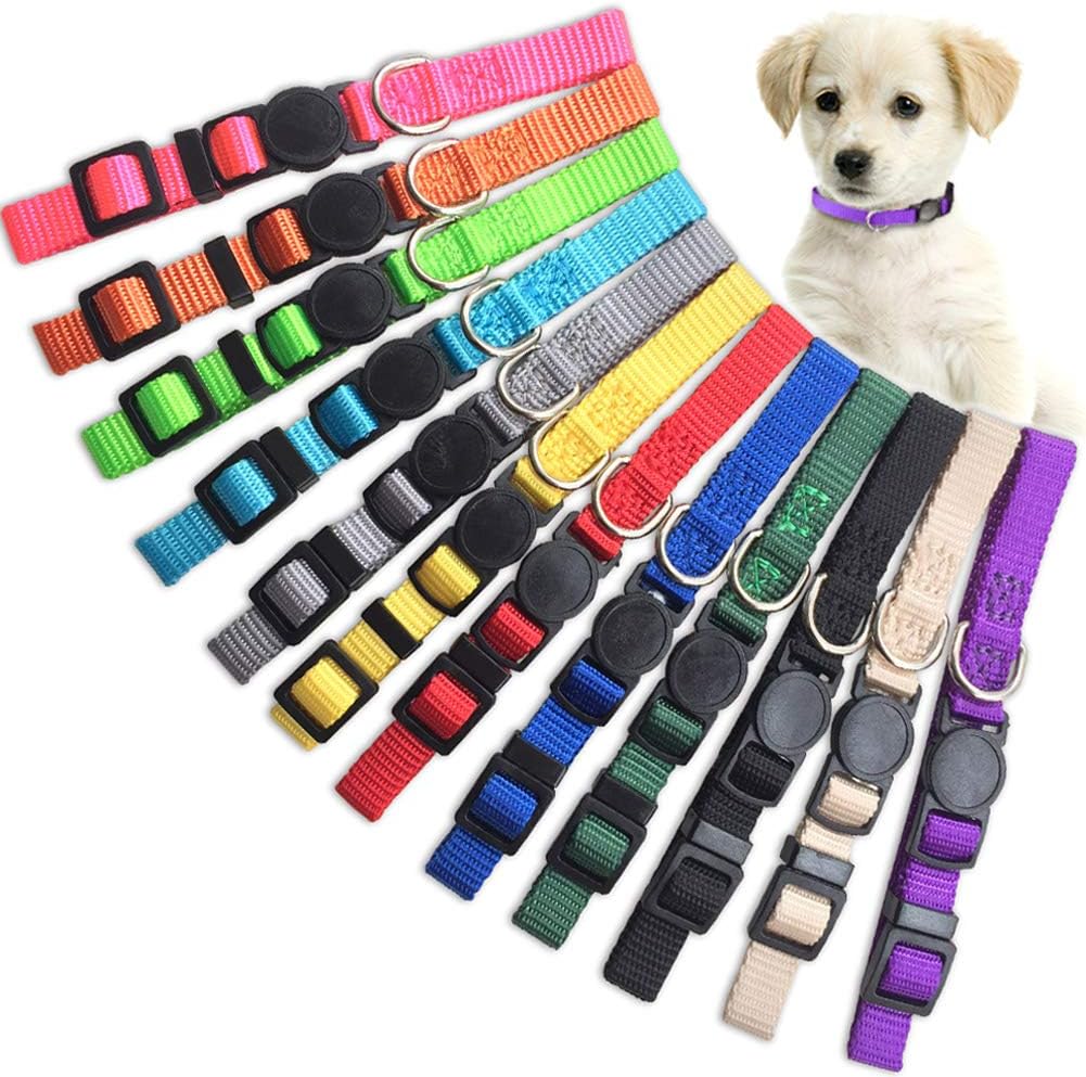 puppy litter collars