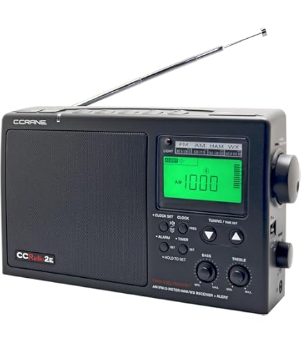 Amazon.com: Sony ICF38 Portable AM/FM Radio (Black