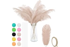 VONMXVTE 24pcs Natural Ostrich Feathers 10-12inch (25-30cm) for Wedding Flower Arrangement and Home Decoration，Party Centerpieces. (Champagne Color)
