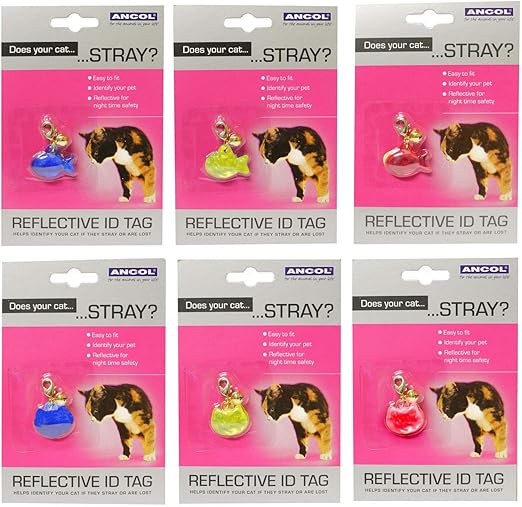 cat name tags amazon