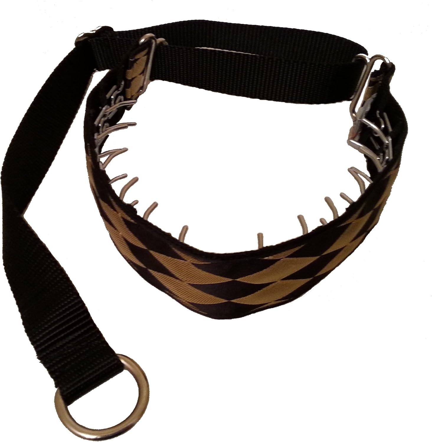 Lola's Limited Secret Powers Training Collar (2.3 mm, 12
