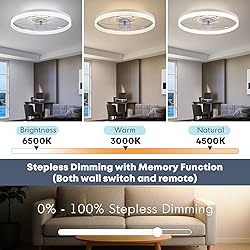 Fszdorj 20‘’ Ceiling Fan with Light, Upgraded