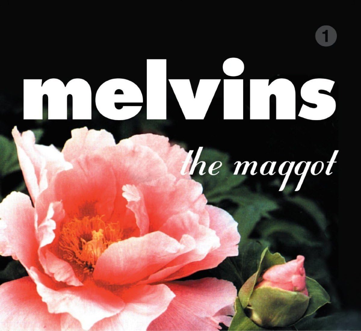 The Maggot