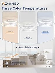 ZMISHIBO 24 Inch Ceiling Fans with Lights and