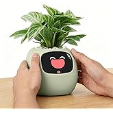 Ivy Interactive AI Desk Companion & Smart Plant Pet Indoor Planter Green | 100+ Expressions for Office Decor & Unique Gift fo