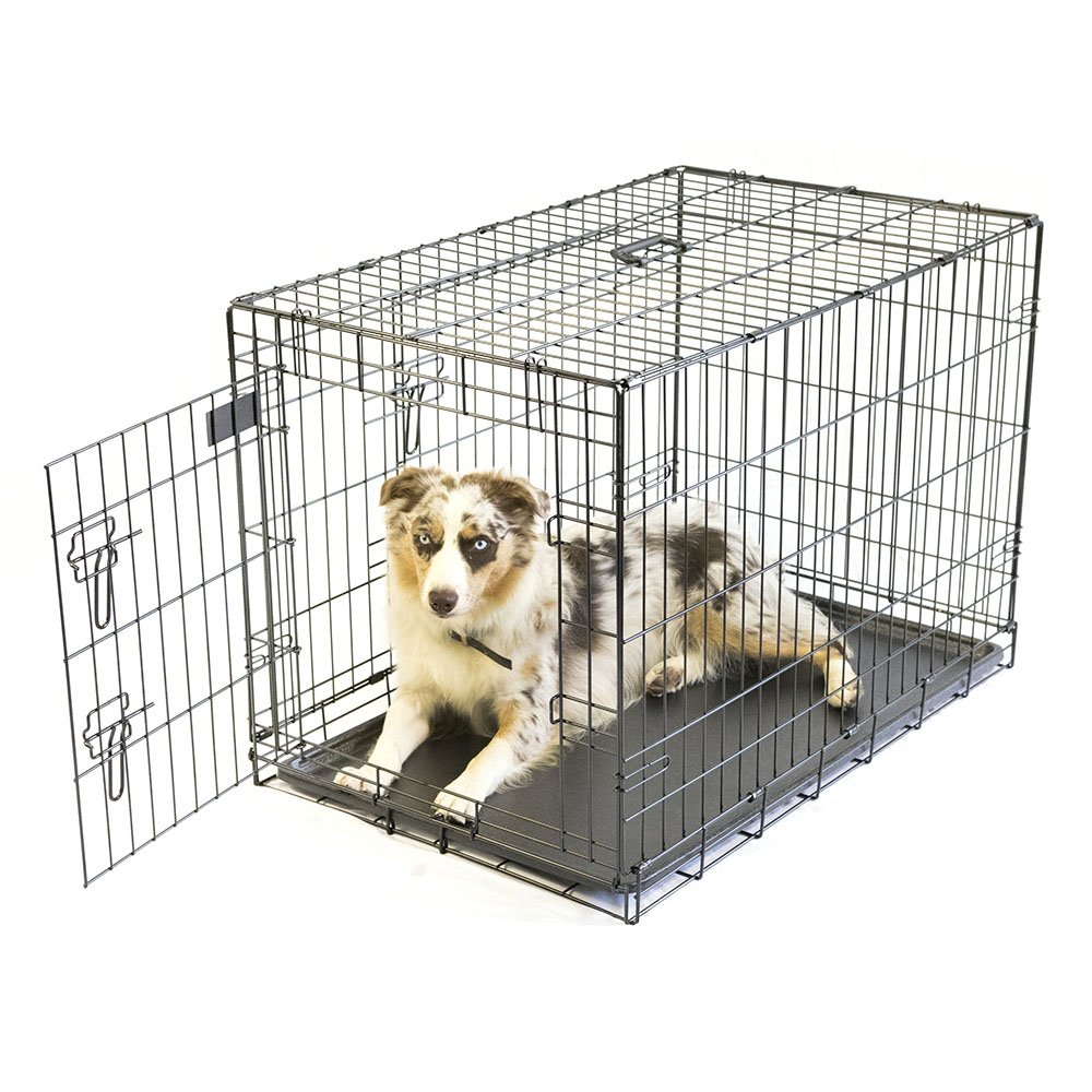 Pet Champion Deluxe 36 Inch Folding Portable 2Door Wire Pet Crate