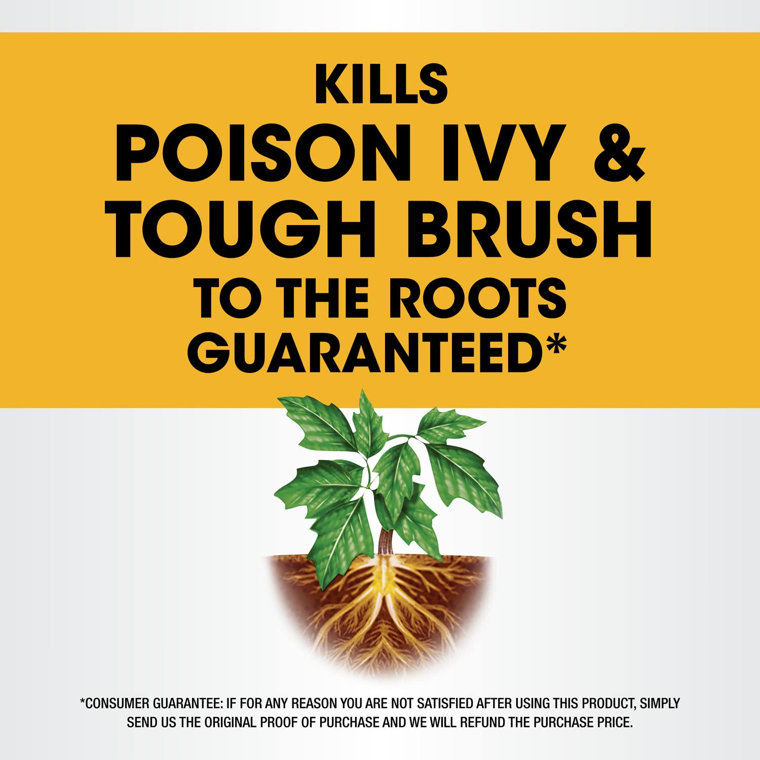 Roundup ReadyToUse Poison Ivy Plus Tough Brush Killer, for Weeds