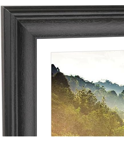 Amazon.com - ArtToFrames 17x26 inch Satin Black Picture Frame