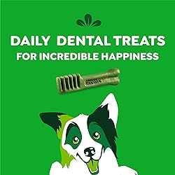 Greenies Original Regular Dental Dog Treats, 3