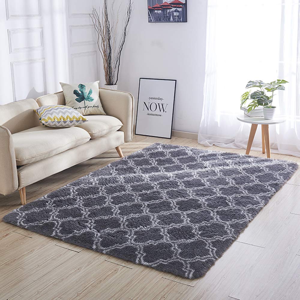 ele ELEOPTION Luxury Velvet Shaggy Area Rug, Anti-skid Nursery Mat Modern Indoor Rugs, Soft & Comfortable Room Carpets for Bedroom Living Room Kids Room Children Playroom (Dark Gray, 60x120CM/2x4Ft)