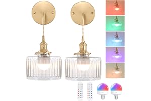 Shenmoyl Vintage Battery Operated Wall Sconce Set of 2, Adjustable Chain Battery Powered Wall Light, Rechargeable Wall Lamp F