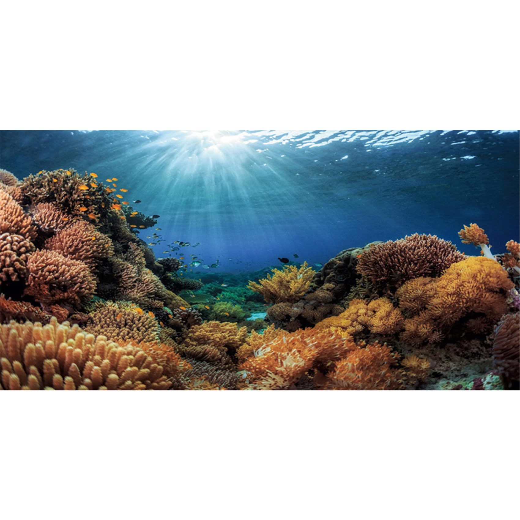 MIRRORANG 120x50cm Durable Vinyl Aquarium Decor Background Coral Tropical Fish Undersea Fish Tank Background