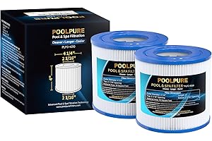 POOLPURE C-4310 Spa Filter Replaces PWW10, Filbur FC-3077, Excel Filters XLS-435, Aladdin 11003, Baleen AK-3006, Darlly 40101, Thermo Spa FL1003, SD-00260 Hot Tub Filter 2 Pack