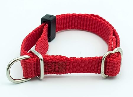 dusty rose dog collar