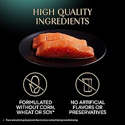 Sheba Perfect Portions Wet Cat Food Pate with
