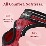 rabbitgoo Cat Harness and Leash Set, Extra Small, Reflective, Red, S view 7