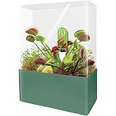 Unique Gardener Grow Your Own Venus Fly Trap, Complete Adults Square Terrarium Starter Kit to Plant Fascinating Man Eating Fly Traps, Includes All Supplies for Indoor Flytrap Terrariums