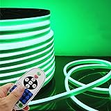 IEKOV LED NEON Light, AC 110-120V Flexible LED Neon