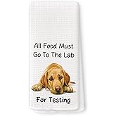 QZQE Funny Labrador Retriever Kitchen Towels, Labrador Retriever Gifts for Women Dish Tea Towels for Kitchen, Yellow Lab Gifts, Dog Mom Lovers Owner Gift Decorative Hand Towel 16x24 Inch