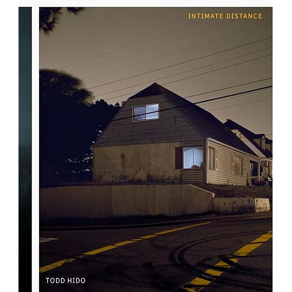 Witness Number Seven: Hido, Todd: 9781590052440: Amazon.com: Books