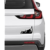 FulysArtHouse™ Lazy Cat Vinyl Car Decal, Waterproof Window Sticker, Black