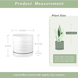 HERDUK 6 Inch Plant Pots, Ceramic Planter Pot with