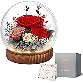 Preserved Flowers Valentines Day Gifts, Gifts for Her, Mom Wife Grandma Girlfriend, Fresh Flowers for Delivery Prime, Real Eternal Rose for Christmas, Birthday, Anniversary, Red