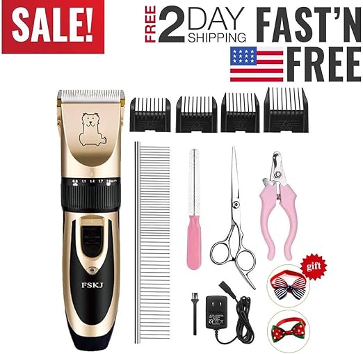 basenji dogs for sale near me