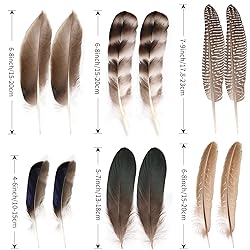 MehelloFeather Natural Pheasant Feathers 12Pcs Bulk