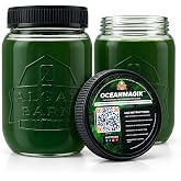 OceanMagik Live Phytoplankton Blend - Tetra x Nanno x Iso x Thal Phyto Food for Coral and Copepod (32oz)