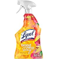 LYSOL® ALL PURPOSE CLEANER TRIGGER - Mango & Hibiscus 950 mL
