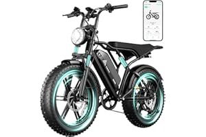 TS TST GRP LLC TST Electric Bike for Adults 1500W Peak 20" Fat Tire All-Terrain E-Bike 60/110 Miles 28MPH Electric Dirt Bike for Road Sand Mountain Snow - 48V 15/25AH Battery Powered Electric Motorcycle