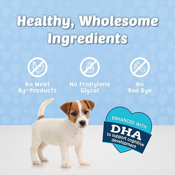 BLUE BUFFALO BITS SOFT DOG TREATS FOR TRAINING, MADE WITH NATURAL INGREDIENTS & ENHANCED WITH DHA, SALMON RECIPE, 4-OZ BAG