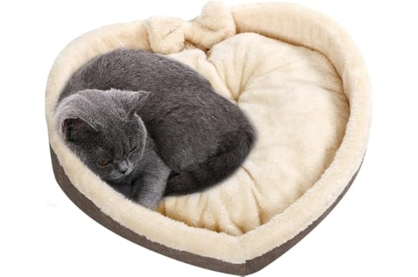 single cat bed price