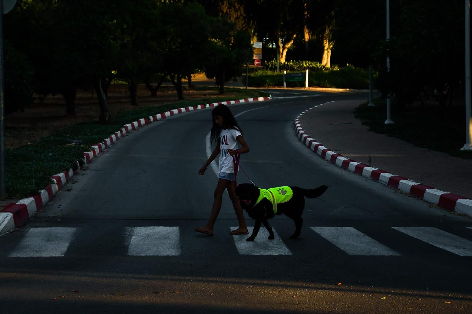 Dog Safety Yellow Reflective Vest With Leash Hole 5 Sizes - Image 5