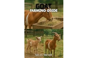 Goat Farming Guide: 18 powerful techniques to avoid losses and grow a successful goat farm