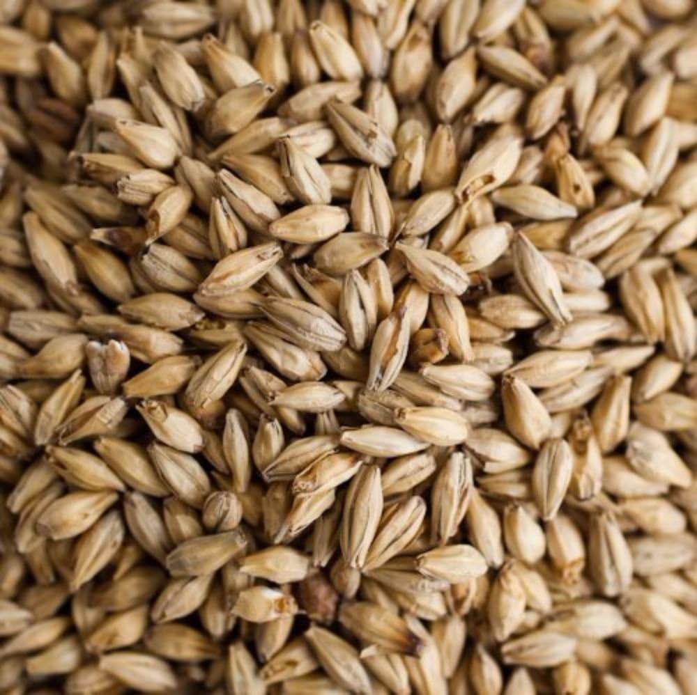 Weyermann Pilsner Malt Home Brewing Malt Whole Grain 1lb Bag