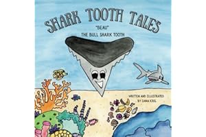 Shark Tooth Tales: Beau the Bull Shark Tooth