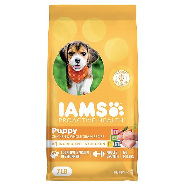 IAMS PROACTIVE HEALTH DRY PUPPY FOOD, PREMIUM DOG...