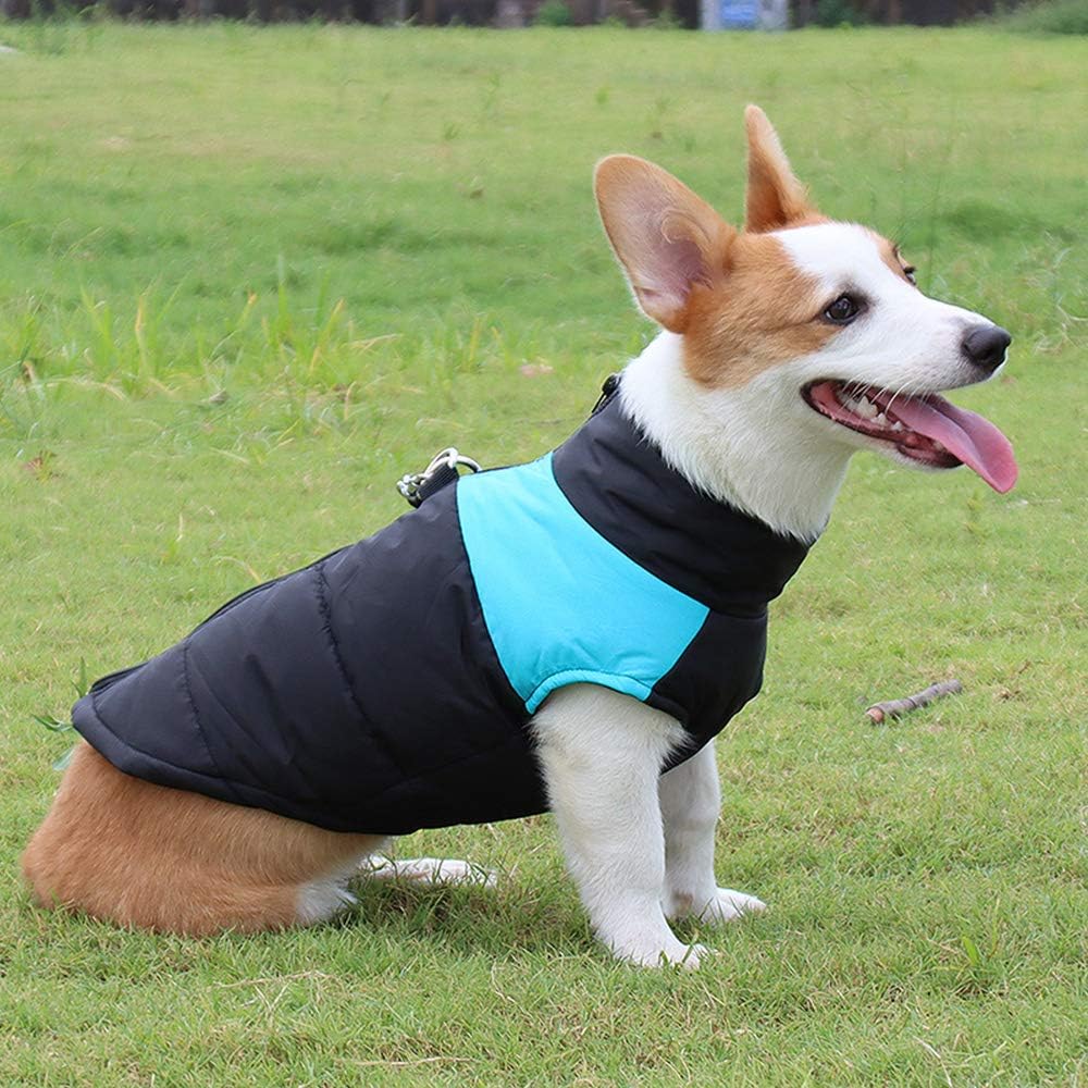 SunteeLong Dog Jackets Dog Clod Weather Coat Waterproof Windproof Warm Dog Vest Cold Weather Pet Apparel for Small Medium Large Dogs Blue M : Kitchen & Dining