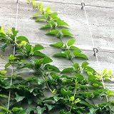 TooTaci 30M Stainless Steel Wire 1.5mm Flexible Metal Artcraft DIY Garden Fence view 7