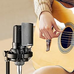 TAKSTAR Professional Recording Microphone, XLR 16mm