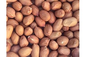 FREEPI Pinstar Premium Raw Red Skin Peanuts, 5 Pounds