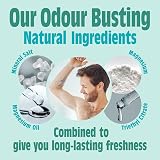 Salt Of The Earth Foot Deodorant Spray 100 ml Peppermint Tea Tree Refillable view 4