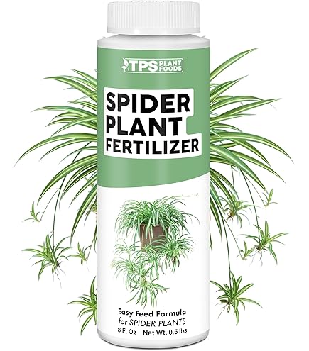 Amazon.com : Spider Plant Fertilizer Spray  Fast-Acting Mist for Greener  Leaves & Long Runners (16 oz) : Patio, Lawn & Garden